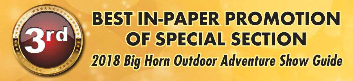 Best In-Paper Promotion Of A Special Section