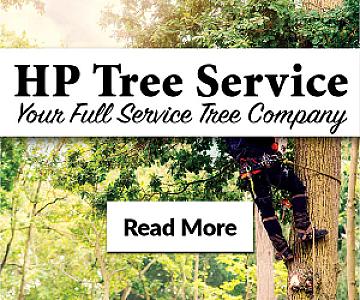 HP Tree Service: Expert Tree Care