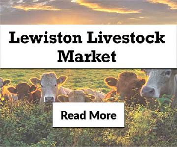 Livestock Sales Coming Soon!