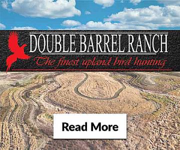 Guided Upland Bird Hunting