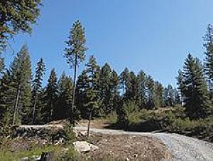 20 ACRE LOTS WITH 180 DEGREE VIEWS