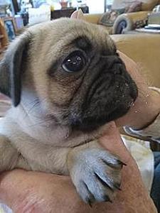 HALF OFF EARLY HOLIDAY SPECIAL