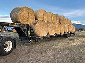 BEARDLESS BARLEY ROUND BALES
