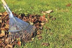 IT’S TIME FOR YARD SERVICES!