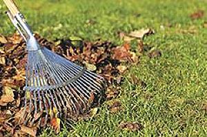 IT’S TIME FOR YARD SERVICES!