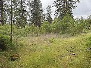 CLOSE IN COUNTRY LIVING ON 8.7 ACRES