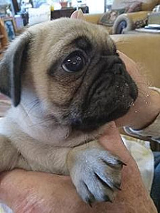 HALF OFF EARLY HOLIDAY SPECIAL