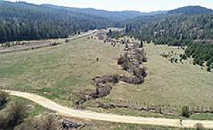 73 ACRES JUST SOUTH OF ST. MARIES