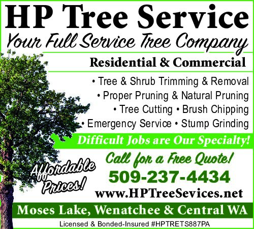 PDF Preview - HP Tree Service: Expert Tree Care