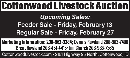 PDF Preview - Cottonwood Livestock: Cattle Auctions