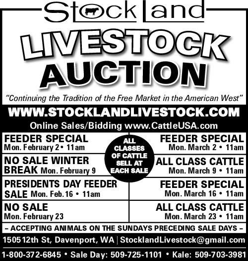 PDF Preview - Cattle Auction - Western Livestock Sales