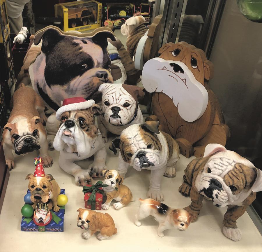 BULLDOGS ARE READY FOR VALENTINE'S DAY ARE YOU?