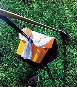 SERVING LC VALLEY FOR 8 YEARS LC VALLEY POOPER SCOOPER IS