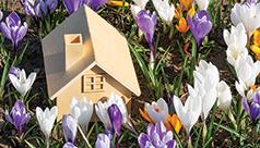 THINKING OF BUYING OR SELLING THIS SPRING?