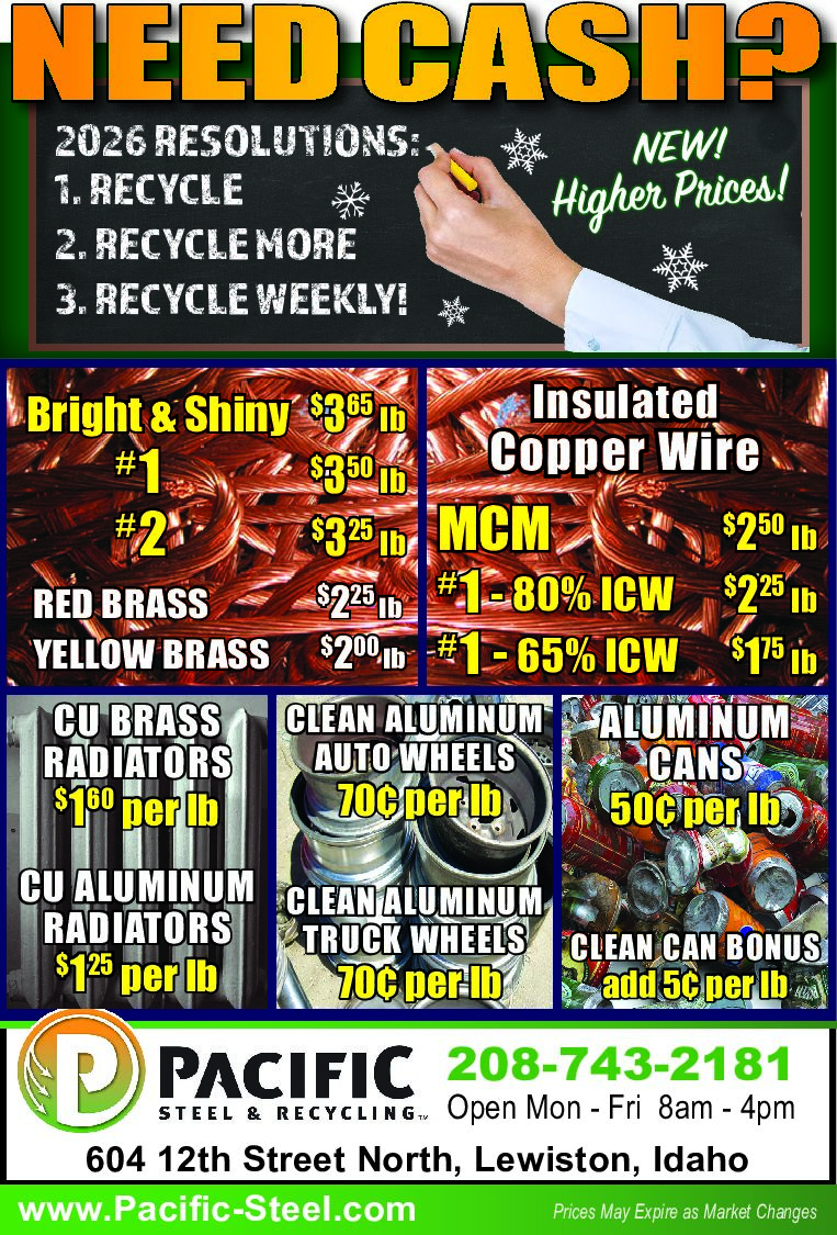 PDF Preview - Ad 491882