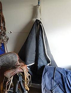 SADDLES, BRIDLES, HORSE BLANKETS