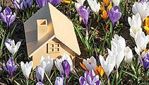 THINKING OF BUYING OR SELLING THIS SPRING?