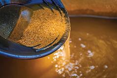 GOLD TREASURE & MORE SHOW