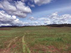 OWNER FINANCING, 45 ACRES, WELL & POWER