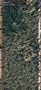 23.57 TIMBERED ACRES IN NORTH SPOKANE COUNTY