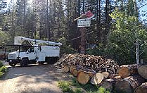 GLEASON'S TREE SERVICE