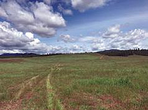 OWNER FINANCING, 45 ACRES, WELL & POWER