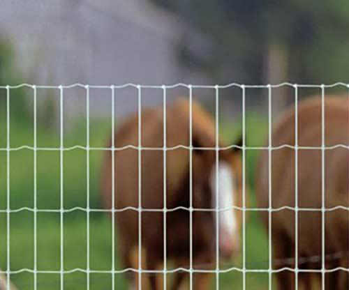 LIVESTOCK & WILDLIFE FENCING EXPERTS