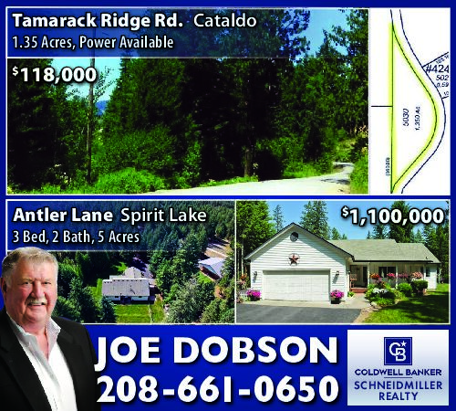 PDF Preview - Scenic Land & Homes for Sale