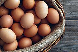 FARM FRESH DUCK EGGS, BETTER THAN CHICKEN EGGS!