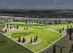 87.13 SUB-DIVIDABLE ACRES WITH WELL & POWER!