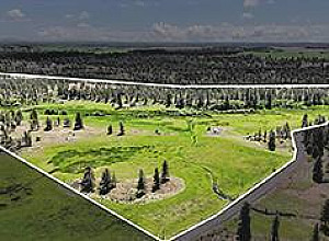 87.13 SUB-DIVIDABLE ACRES WITH WELL & POWER!