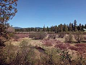 21 ACRES WITH FULLY IMPROVED HOME SITE & YEAR ROUND CREEK