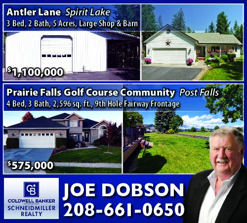 PDF Preview - Luxury Homes in Spirit Lake