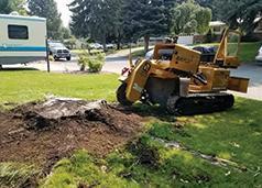 PROFESSIONAL STUMP GRINDING