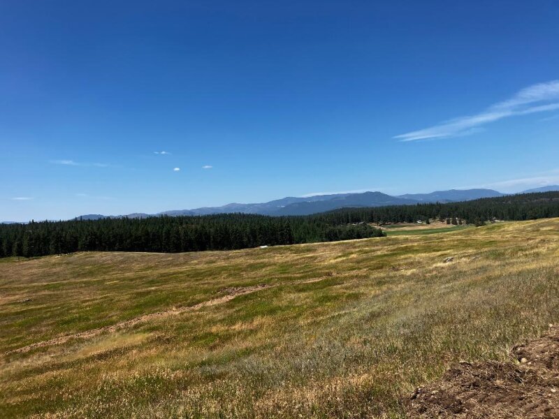 PRIVATE 45 ACRES WITH WELL & POWER, FINANCING!