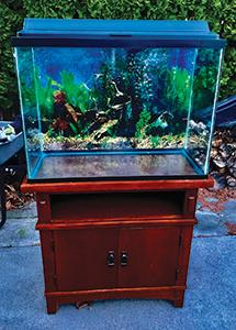 38 GALLON FISH TANK