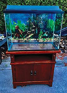 38 GALLON FISH TANK