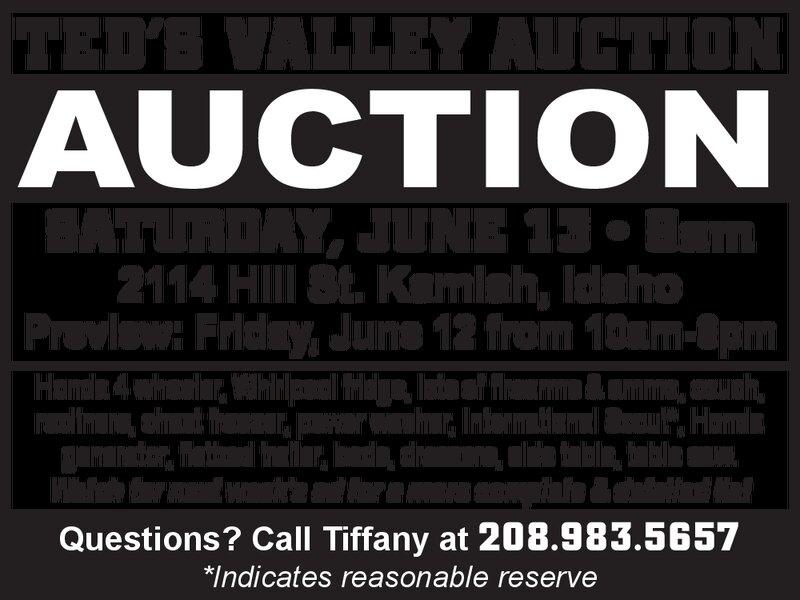 PDF Preview - Ted's Valley Auction - June 13