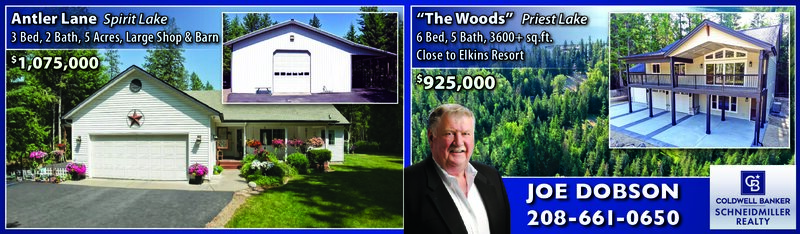 PDF Preview - Luxury Lake Homes - Priest & Spirit Lake