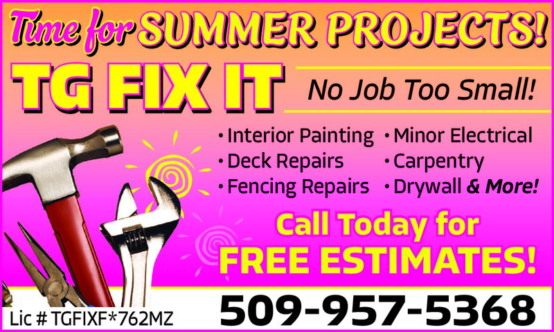 PDF Preview - TG Fix It - Summer Projects!