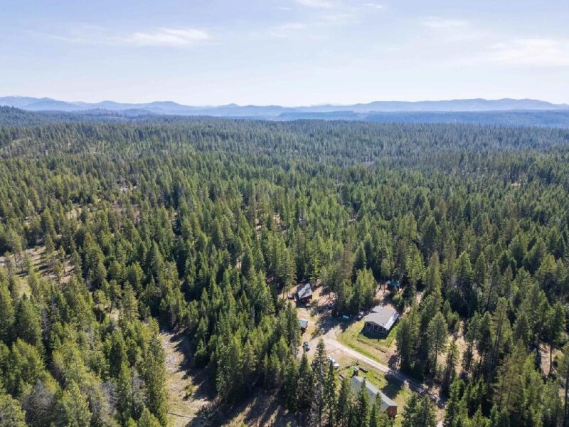 TWO HOMES ON 40 ACRES IN SPRINGDALE