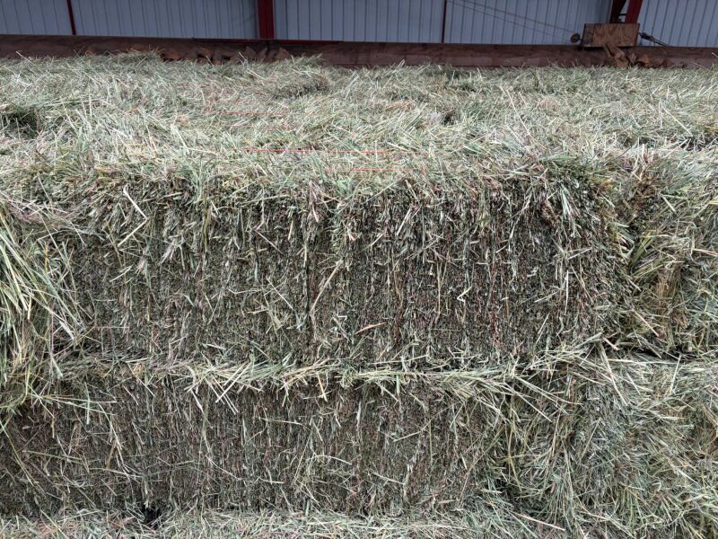 PREMIUM GRASS HAY FOR SALE