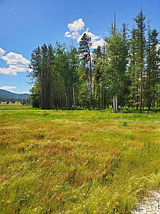 30 ACRES STEVENS COUNTY 4 MILES WEST OF DEER PARK