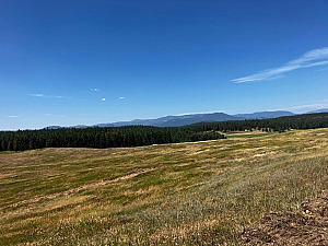 PRIVATE 45 ACRES WITH WELL & POWER, FINANCING!
