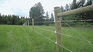 LIVESTOCK & WILDLIFE FENCING EXPERTS