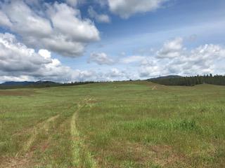 45 ACRES, WATER, POWER & FINANCING