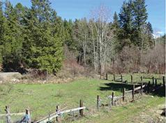 COME SEE THIS 25 ACRES WITH A CREEK