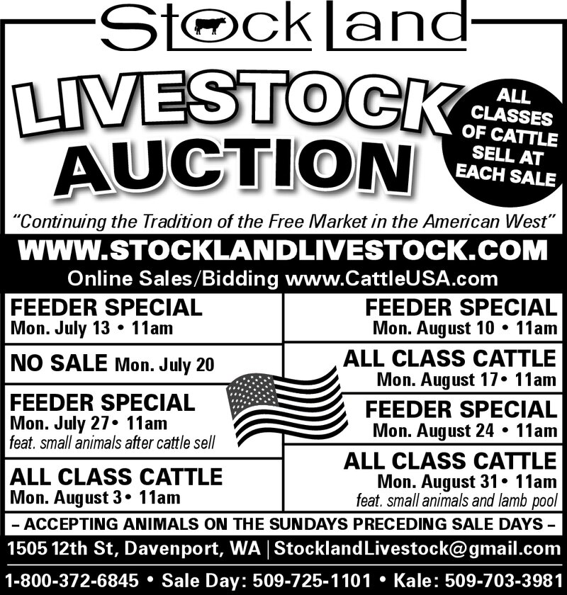 PDF Preview - Stockland Livestock Auction