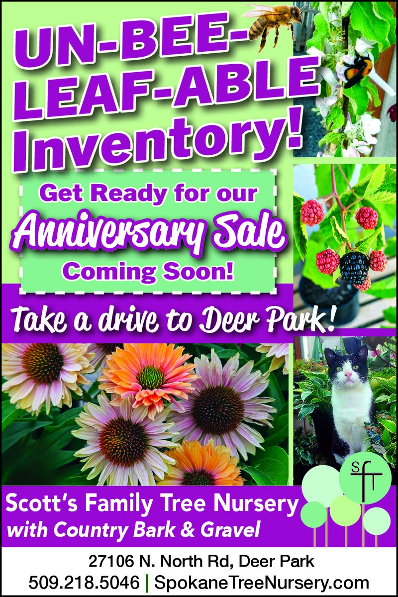 PDF Preview - Anniversary Sale Coming Soon!