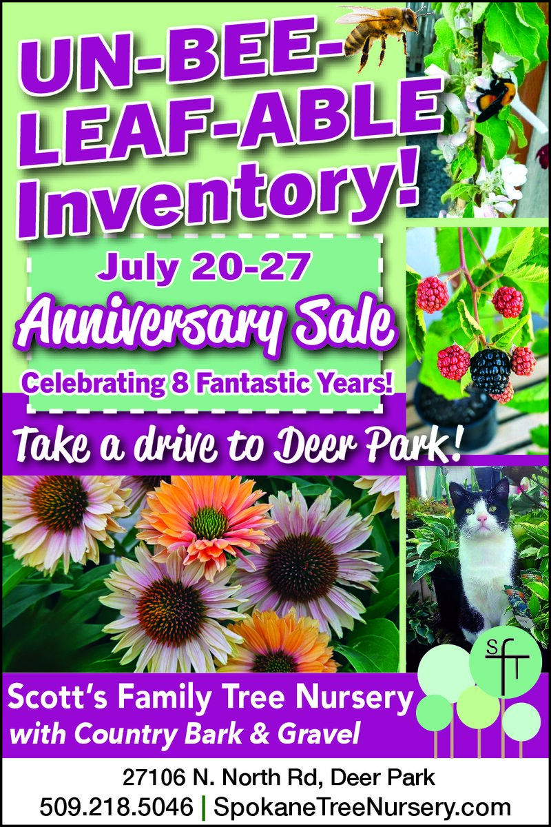 PDF Preview - Anniversary Sale - Tree Nursery